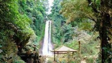 Air Terjun Gitgit merupakan salah satu destinasi wisata alam paling terkenal di Bali. Terletak di Desa Gitgit, Kecamatan Sukasada, Kabupaten Buleleng, air terjun ini menawarkan pemandangan eksotis yang memanjakan mata dan suasana tenang yang menyegarkan pikiran.