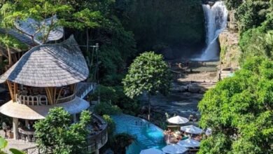 Air Terjun Tegenungan merupakan salah satu destinasi wisata alam yang berada di Desa Kemenuh, Kecamatan Sukawati, Kabupaten Gianyar, Bali.