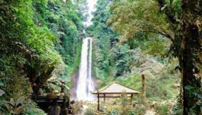 Air Terjun Gitgit, salah satu keajaiban alam yang terletak di Buleleng, Bali, menawarkan panorama yang memukau bagi para pengunjung.