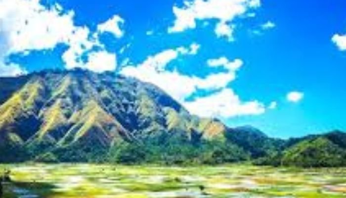 Puncak Bukit Pergasingan menawarkan panorama yang luar biasa. Dari atas, pengunjung dapat melihat hamparan hijau sawah, gunung-gunung di sekitarnya, dan lautan biru yang membentang jauh di horizon.