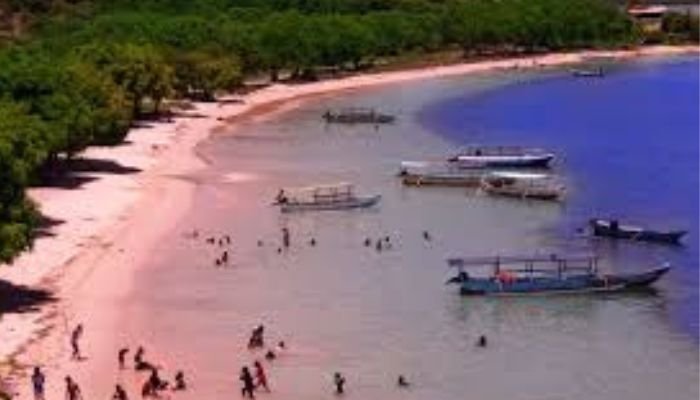 Keunikan utama Pantai Pink terletak pada warna pasirnya. Warna merah muda ini berasal dari campuran pasir putih dan serpihan koral merah yang tergerus oleh ombak.